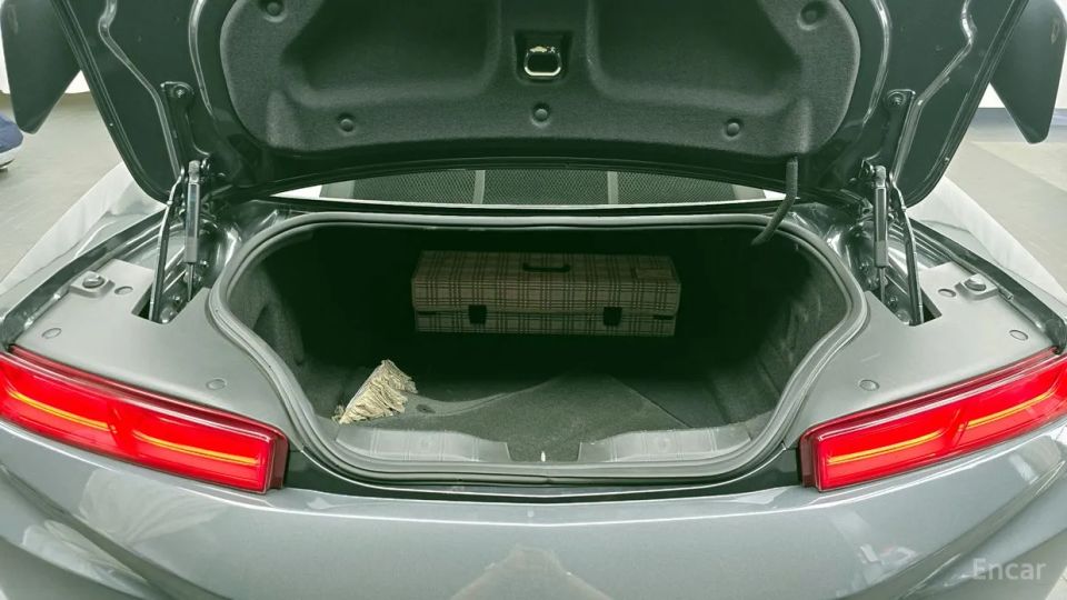 ChevroletGMDaewoo Camaro