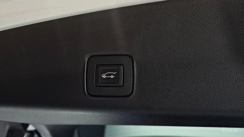 ChevroletGMDaewoo Trailblazer