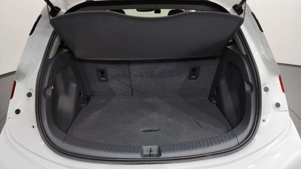 ChevroletGMDaewoo Bolt EV