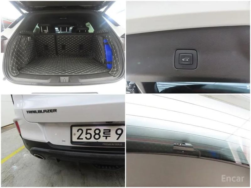 ChevroletGMDaewoo Trailblazer