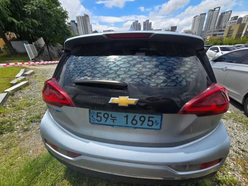 ChevroletGMDaewoo Bolt EV