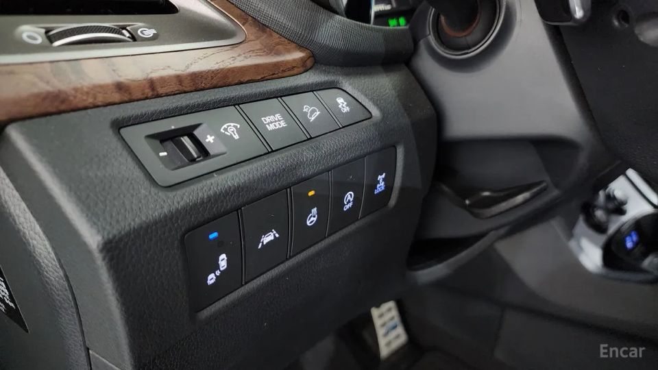 Hyundai Maxcruz