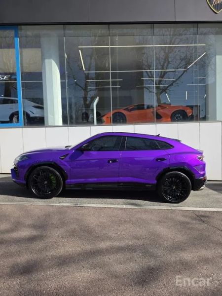 Lamborghini urus