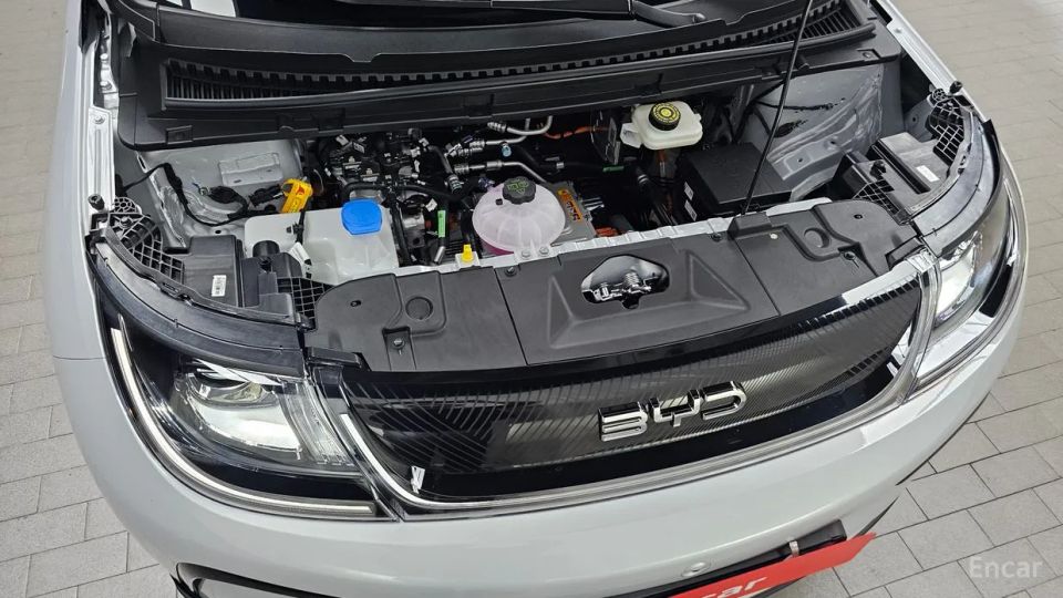 BYD Dolphin
