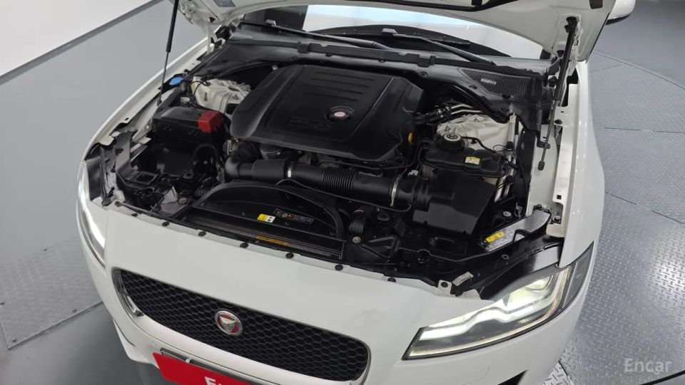Jaguar xf