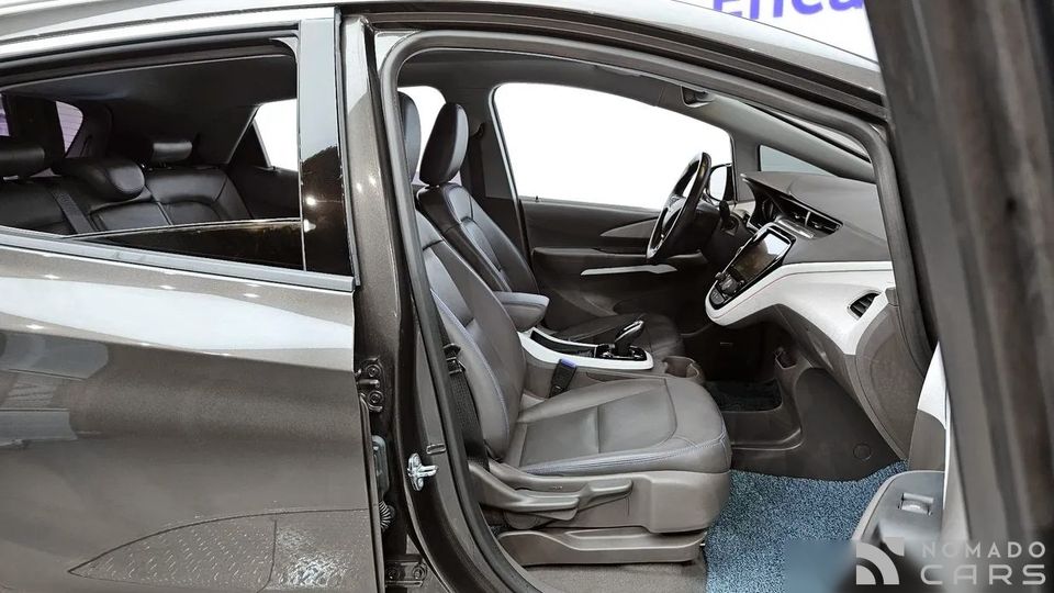 ChevroletGMDaewoo Bolt EV