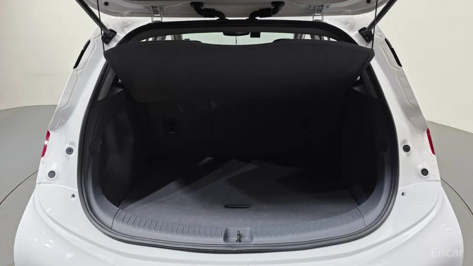 ChevroletGMDaewoo Bolt EV