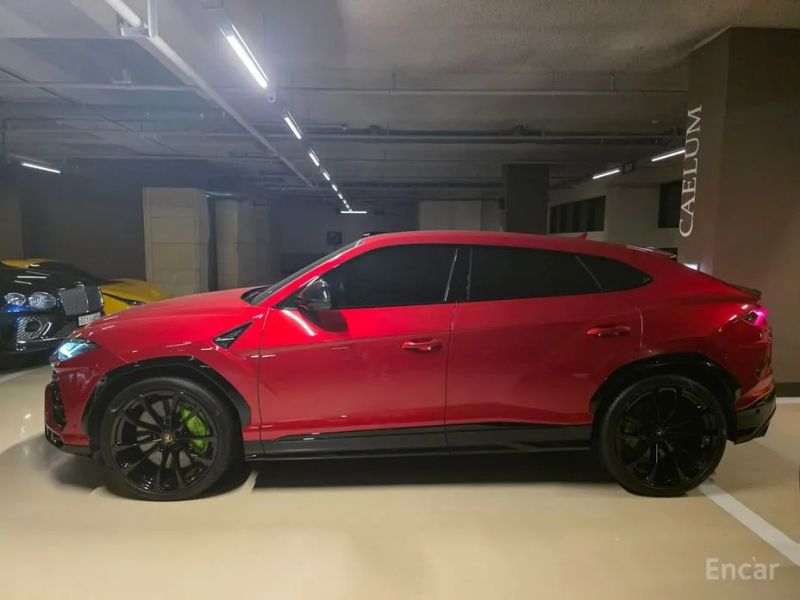 Lamborghini urus