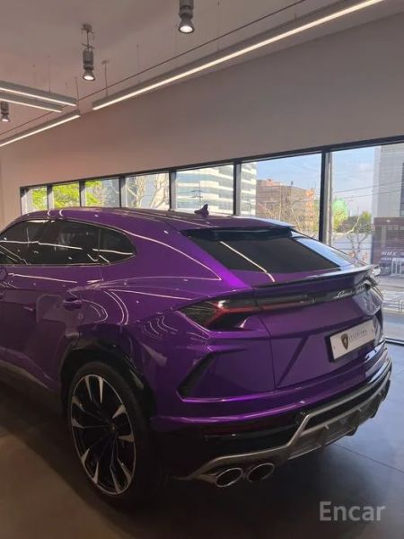 Lamborghini urus