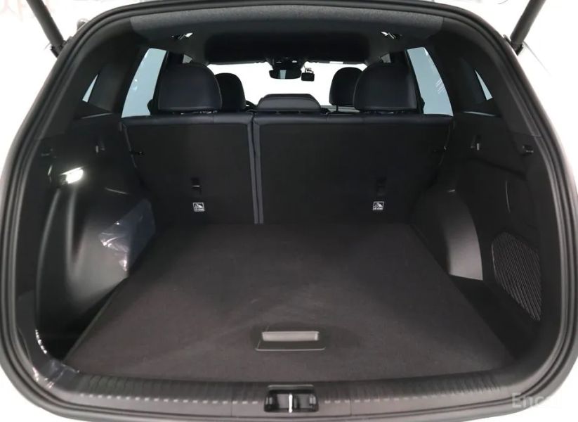 Renault-KoreaSamsung Grand Koleos
