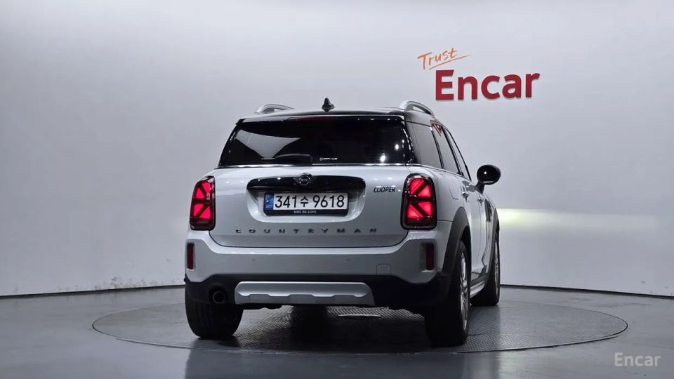 Mini countryman