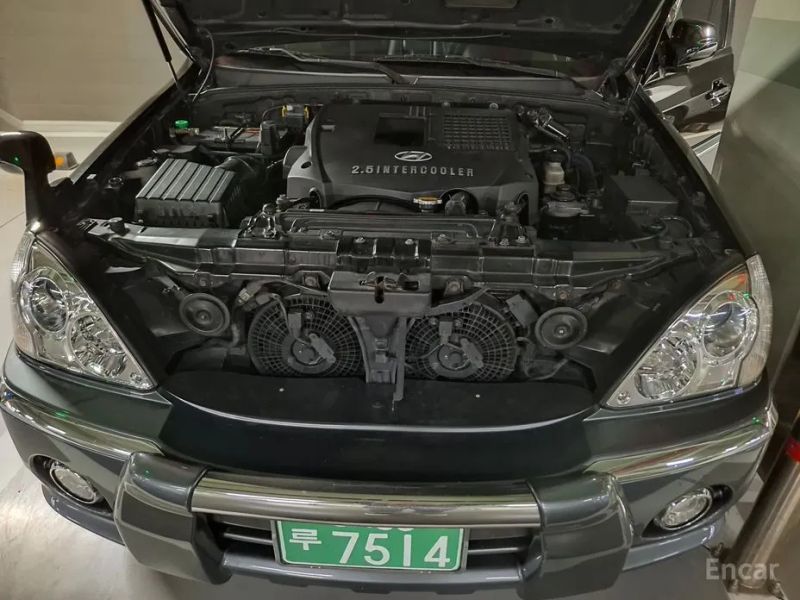 Hyundai Terracan