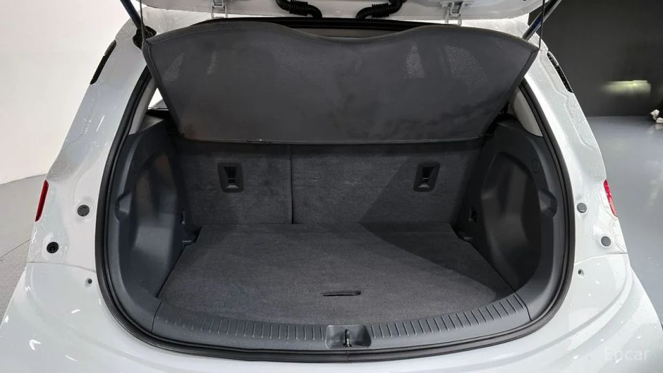 ChevroletGMDaewoo Bolt EV
