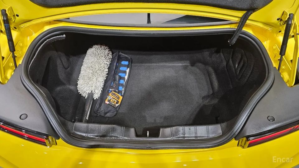 ChevroletGMDaewoo Camaro