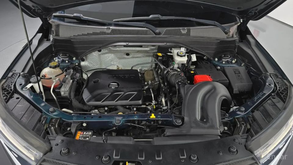 ChevroletGMDaewoo Trailblazer
