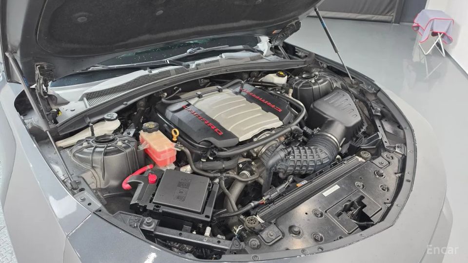 ChevroletGMDaewoo Camaro