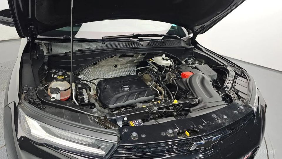 ChevroletGMDaewoo Trailblazer