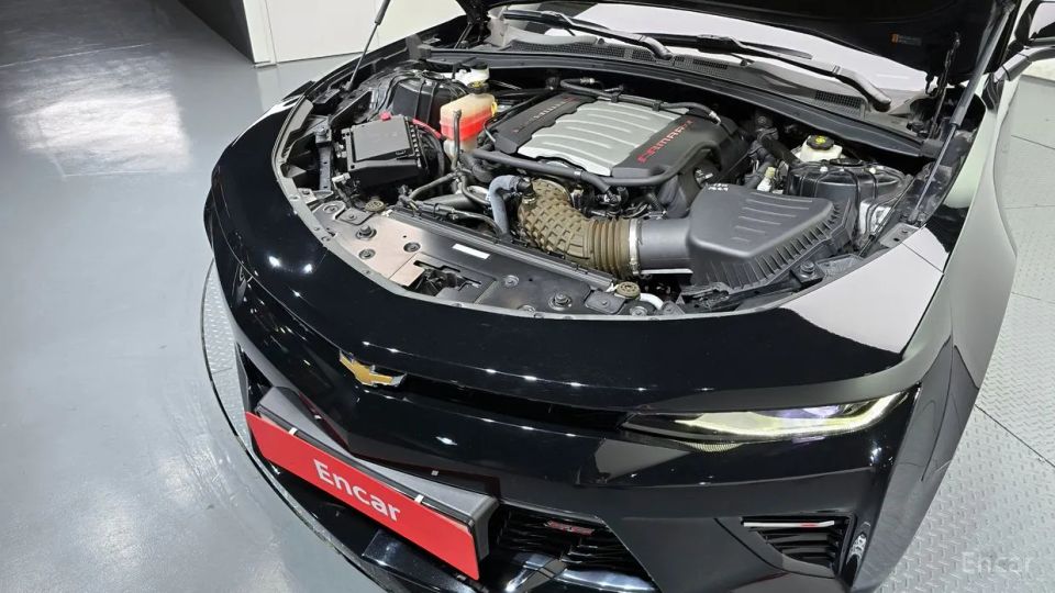 ChevroletGMDaewoo Camaro