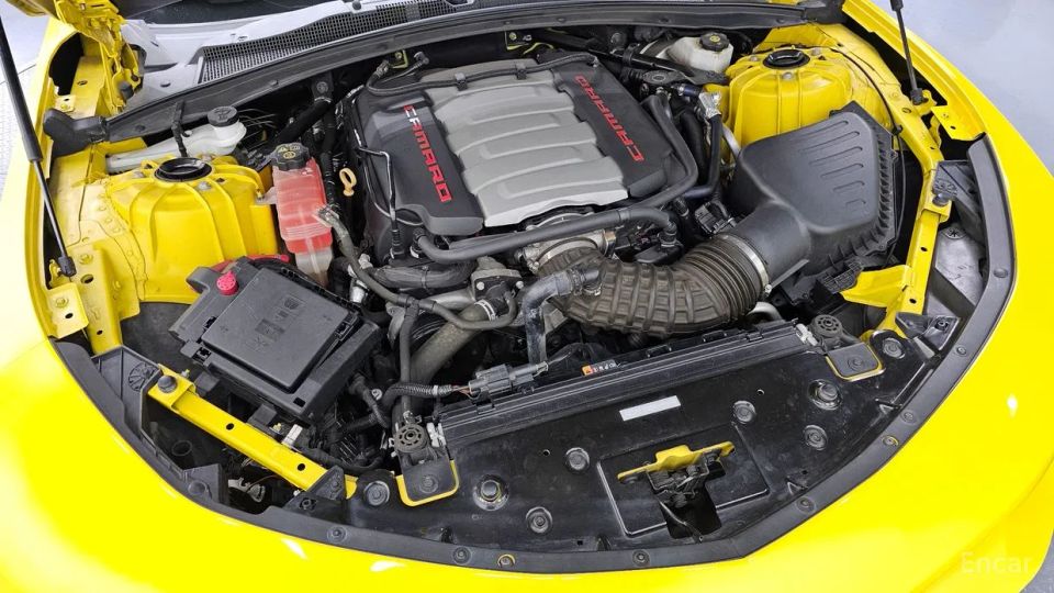 ChevroletGMDaewoo Camaro