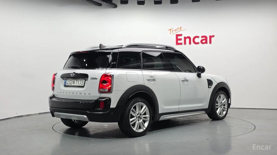 Mini countryman