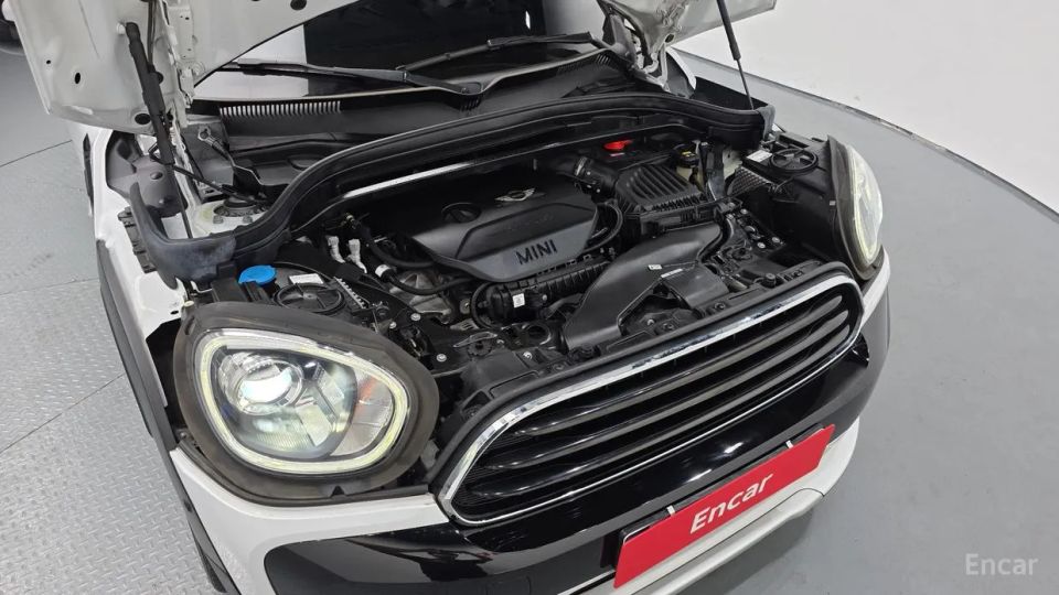 Mini countryman