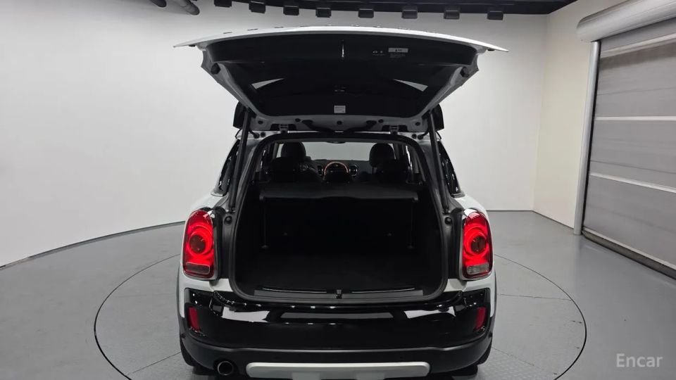 Mini countryman