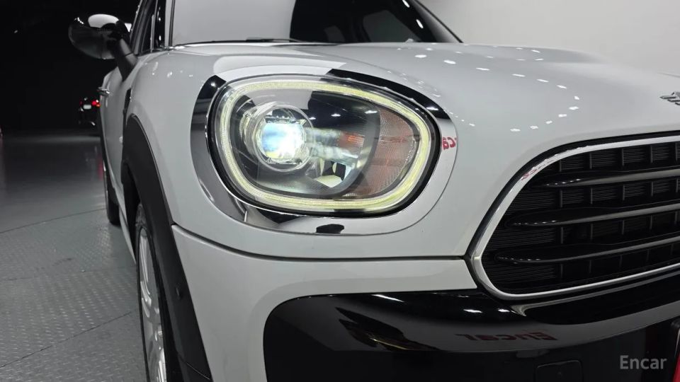 Mini countryman