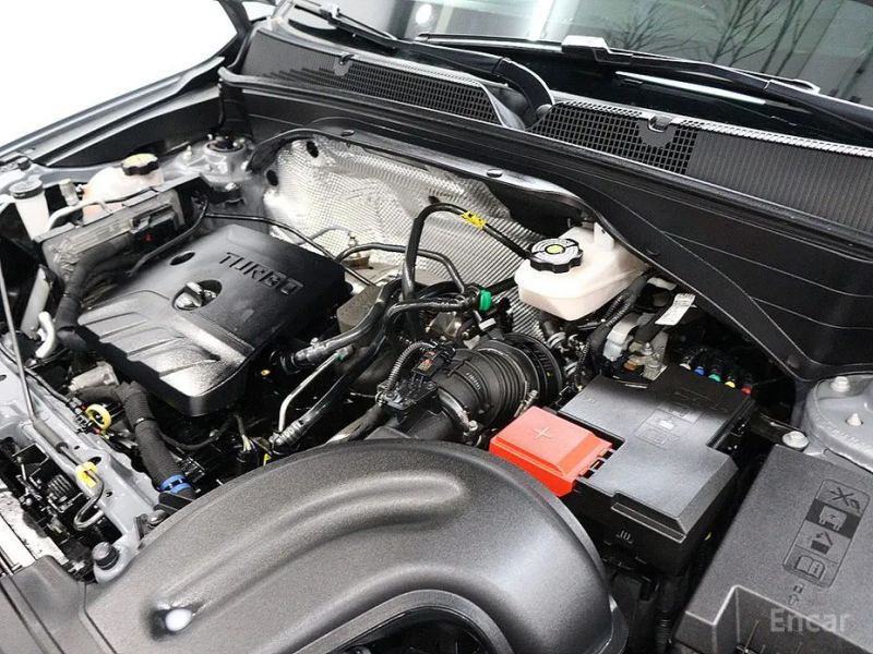 ChevroletGMDaewoo Trailblazer