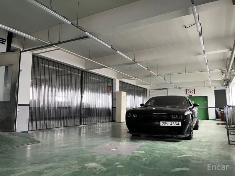Dodge challenger