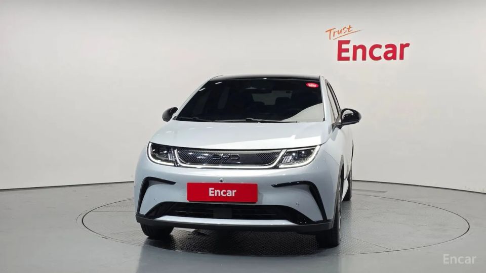 BYD Dolphin