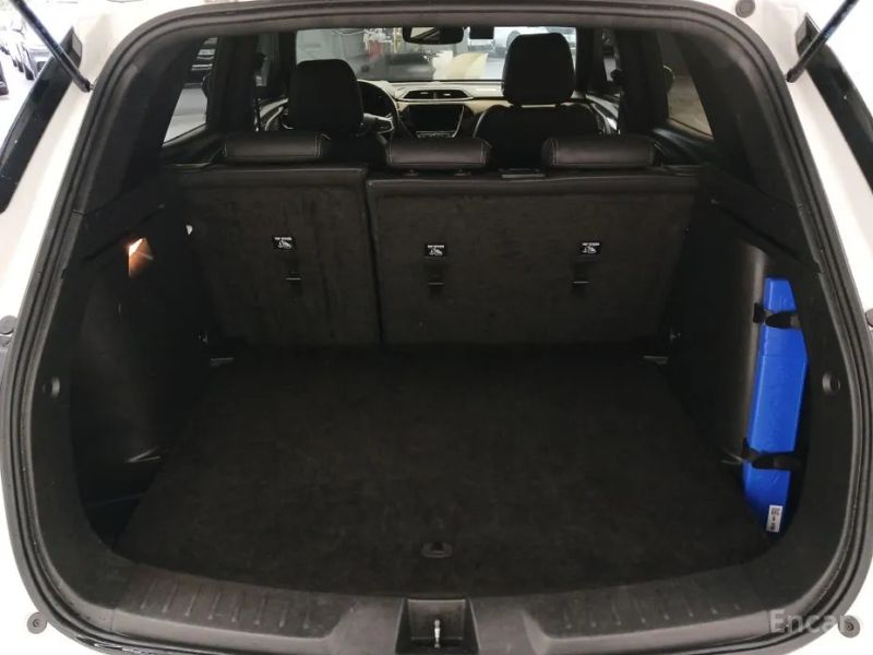 ChevroletGMDaewoo Trailblazer