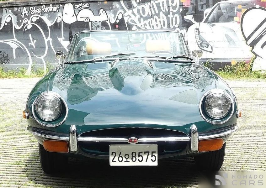 Jaguar Others