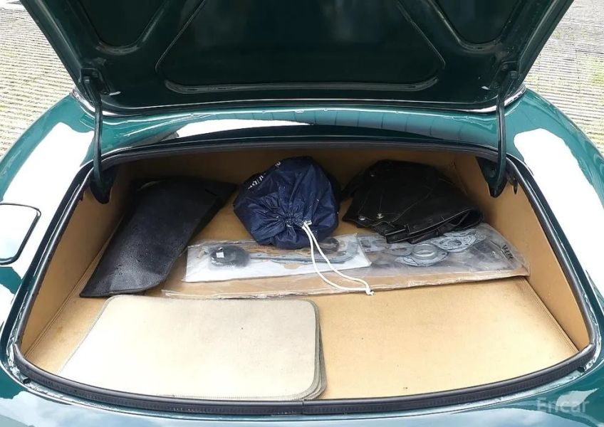 Jaguar Others