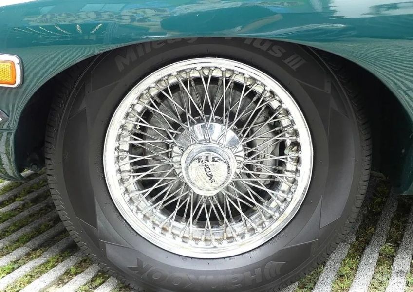 Jaguar Others