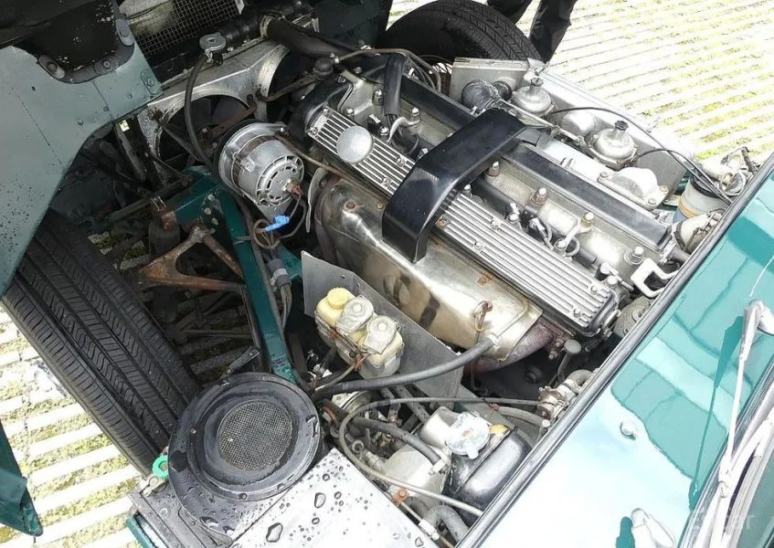 Jaguar Others