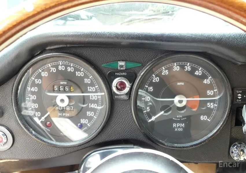 Jaguar Others