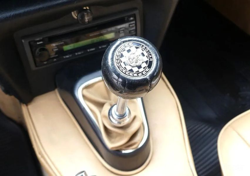 Jaguar Others