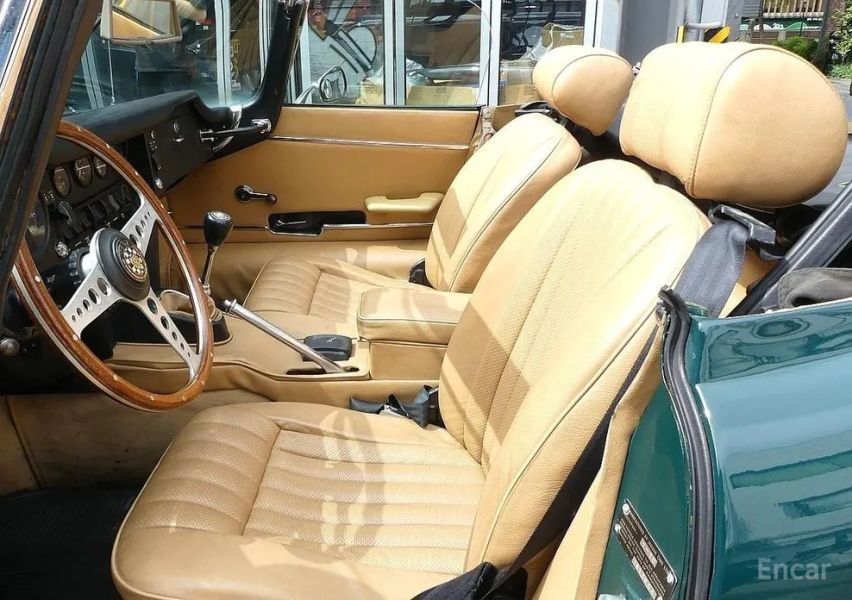 Jaguar Others