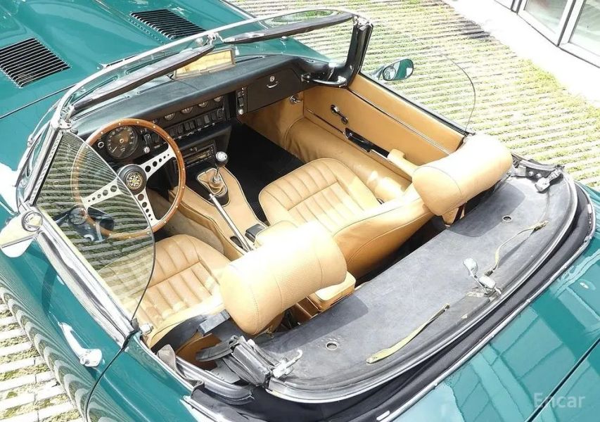 Jaguar Others