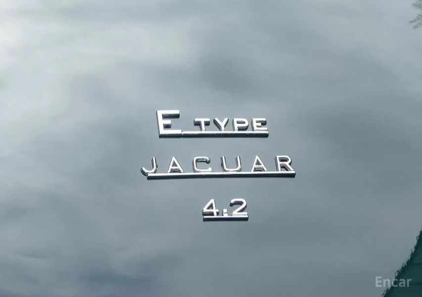 Jaguar Others