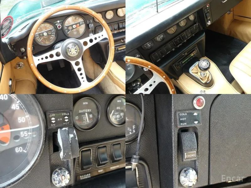 Jaguar Others