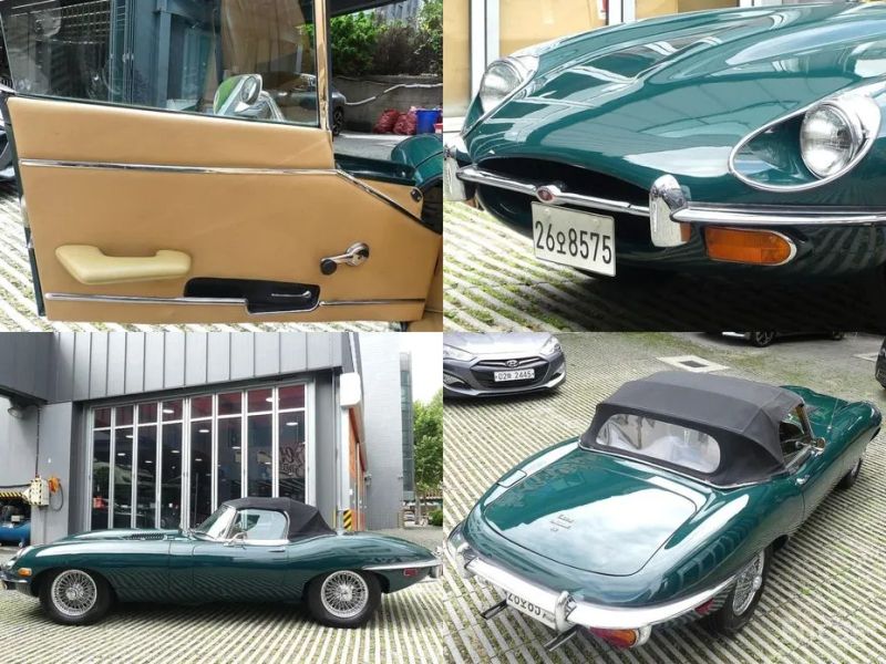 Jaguar Others