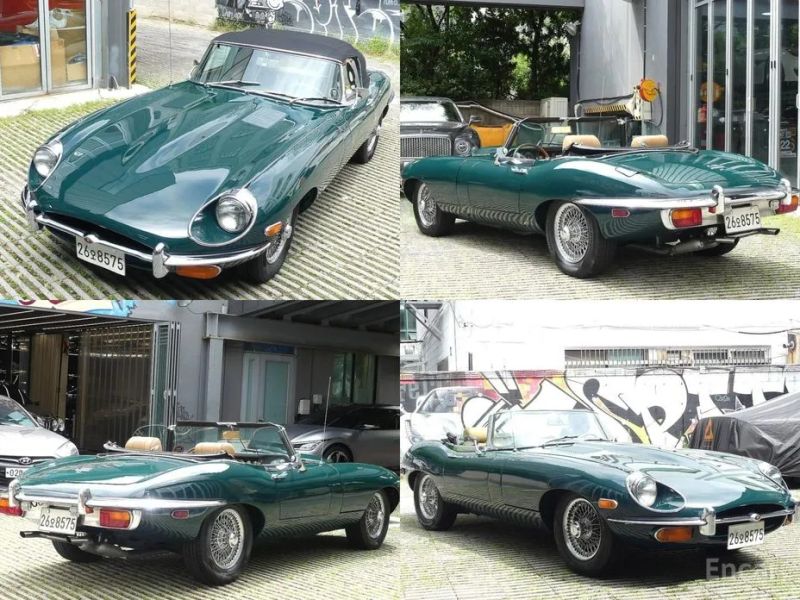 Jaguar Others