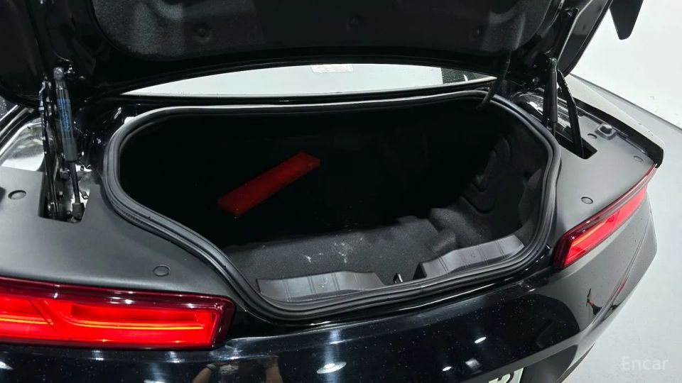 ChevroletGMDaewoo Camaro