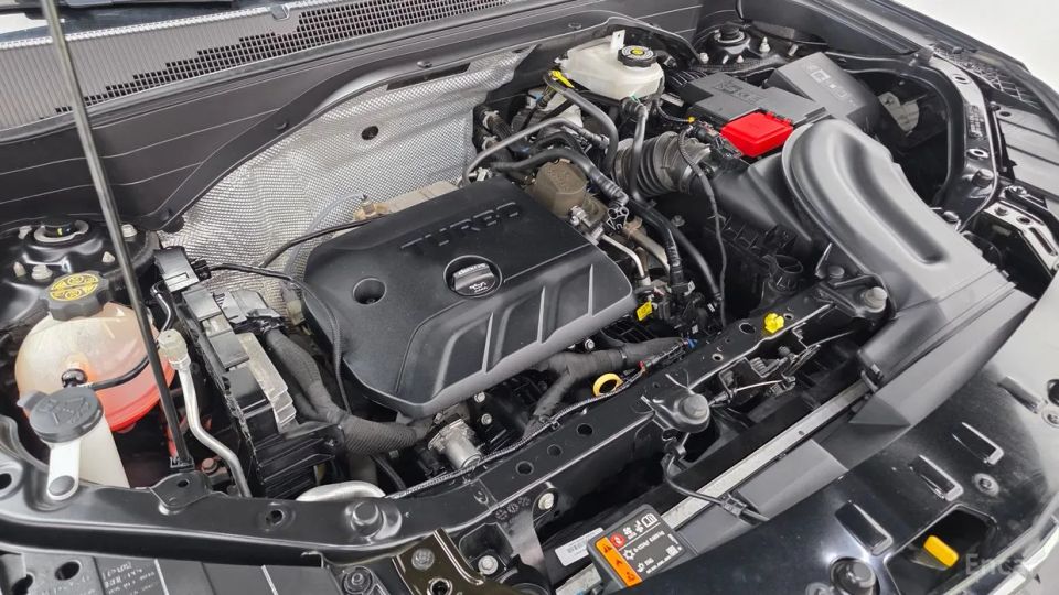 ChevroletGMDaewoo Trailblazer