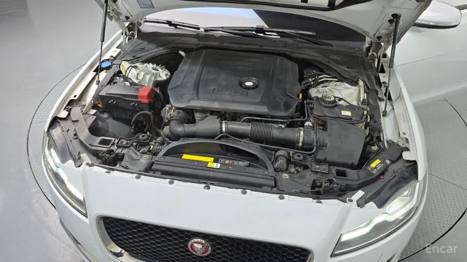 Jaguar xf