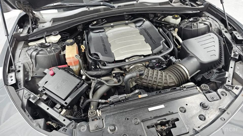 ChevroletGMDaewoo Camaro