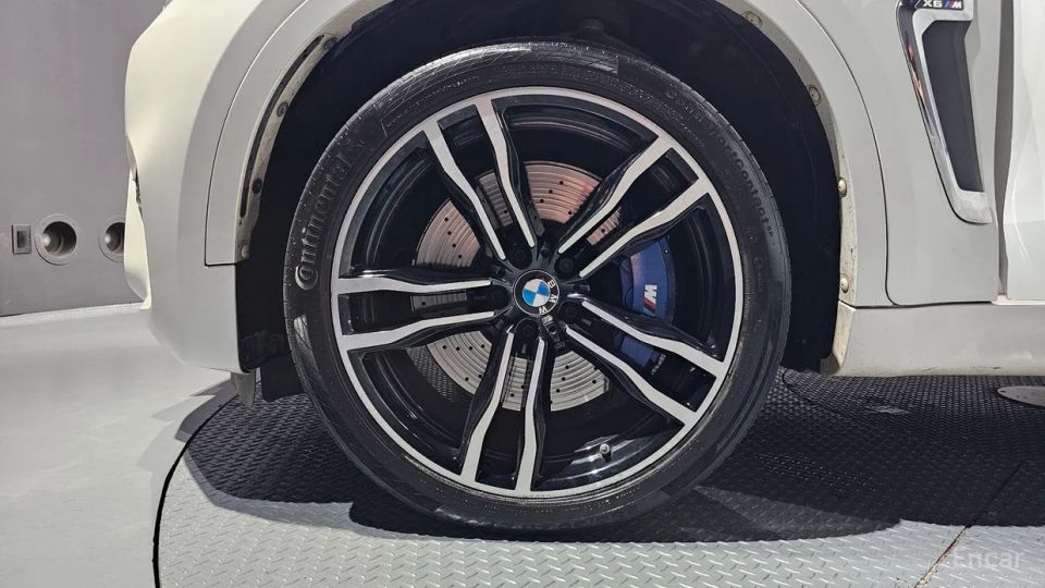 Bmw X6M