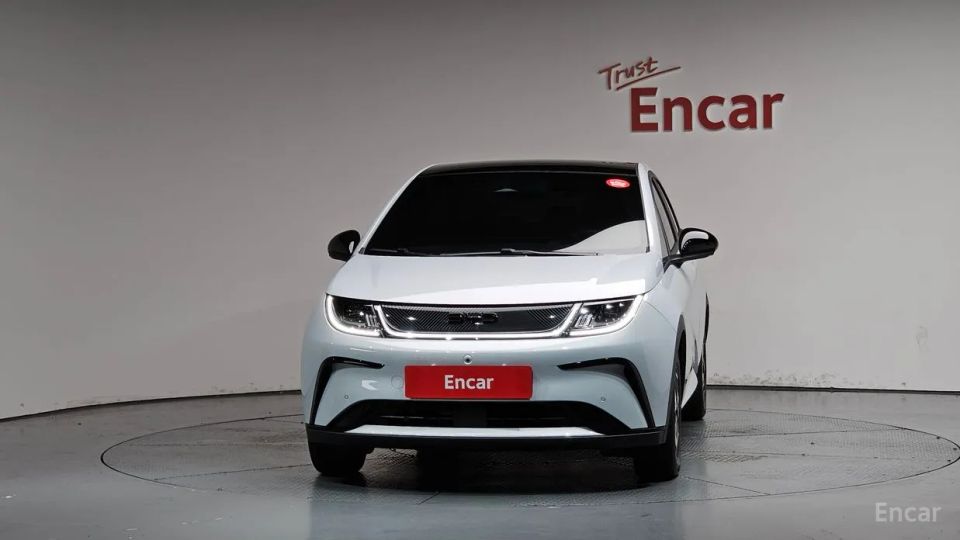 BYD Dolphin