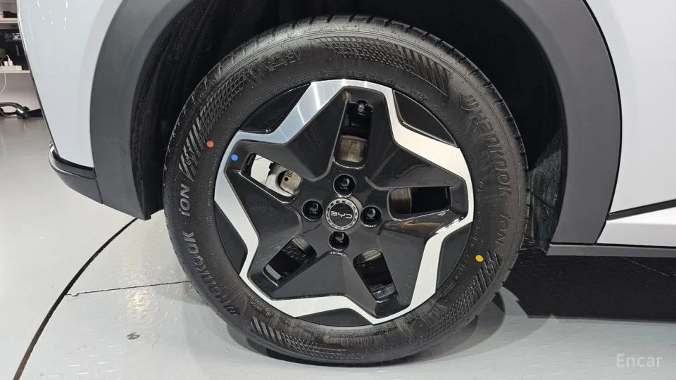 BYD Dolphin